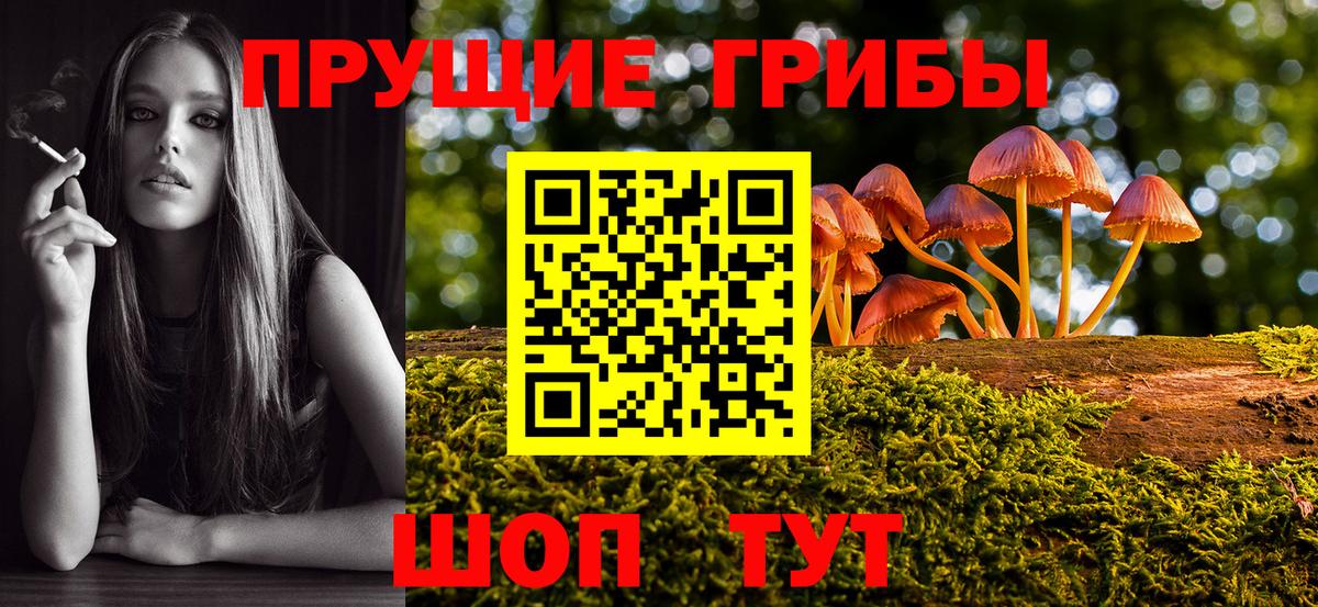 Галлюциногенные грибы GOLDEN TEACHER  Вход с VPN  Симферополь  Псилоцибиновые грибы мухоморы 